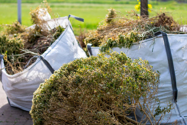 Best Office Junk Removal  in Hartsville, SC